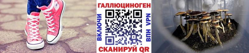 Галлюциногенные грибы мухоморы  Купить закладки  Егорьевск 